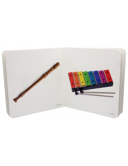 Instrumentos Musicales