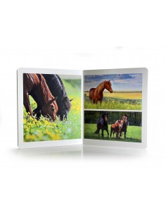 Los Animales de Granja.... 2