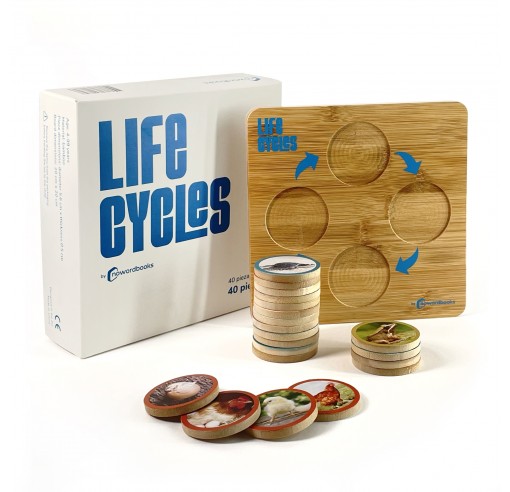 Game The Life Cycles