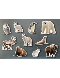 Peces Magnètiques de Bambú...