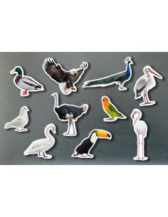 Piezas Magnéticas de Bambú...