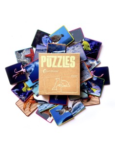 Puzzle Animales Marinos 2